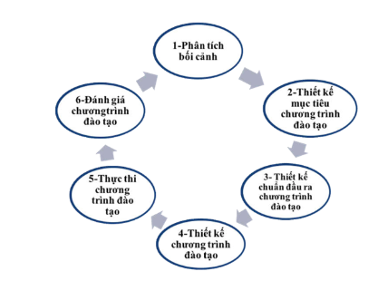 Hình 1. Quy trình phát triển chương trình đào tạo theo tiếp cận chuẩn
